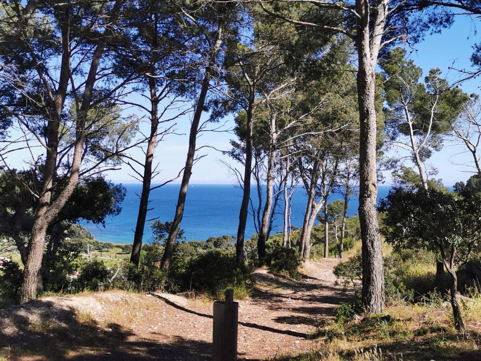 Petit Paradis - St Mandrier Village Saint-Mandrier-sur-Mer Exterior photo